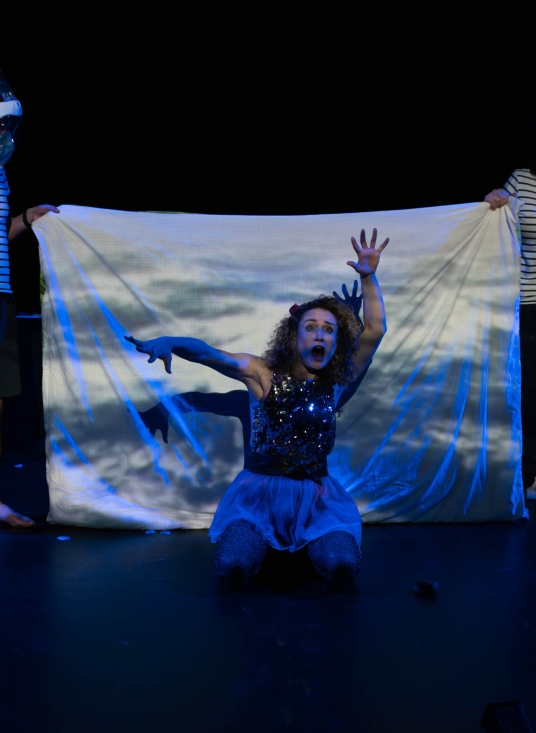 Festival Yvelines Théâtre 2